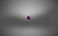 apple_413.jpg